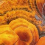 2CM ORANGE BACKLIT