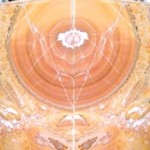 2CM ORANGE (BOOKMATCHED)