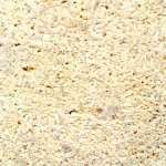 3CM PERMIAN SEA CORAL