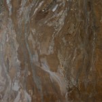 BRONZITE